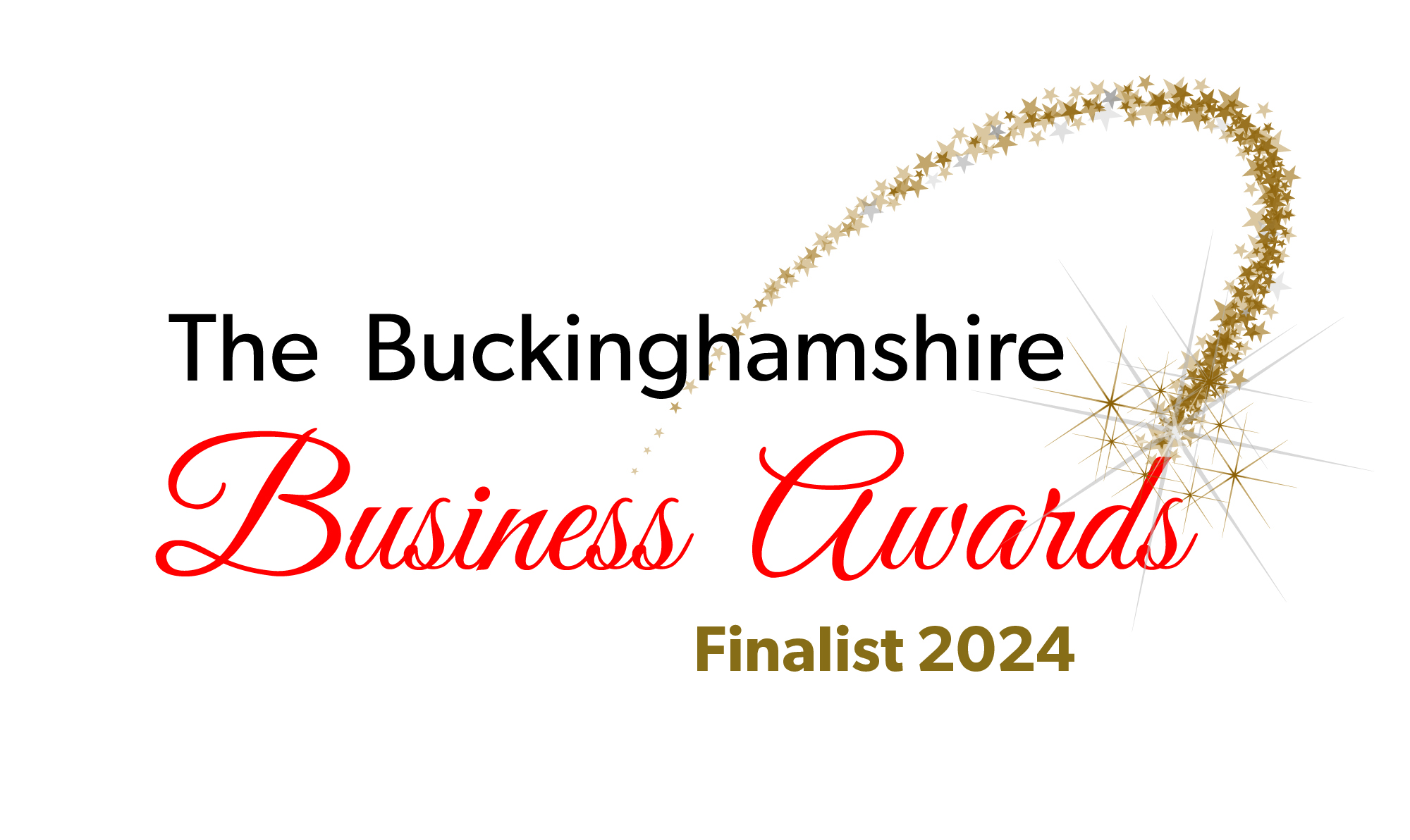 Business Awards Finalist Logo 2024